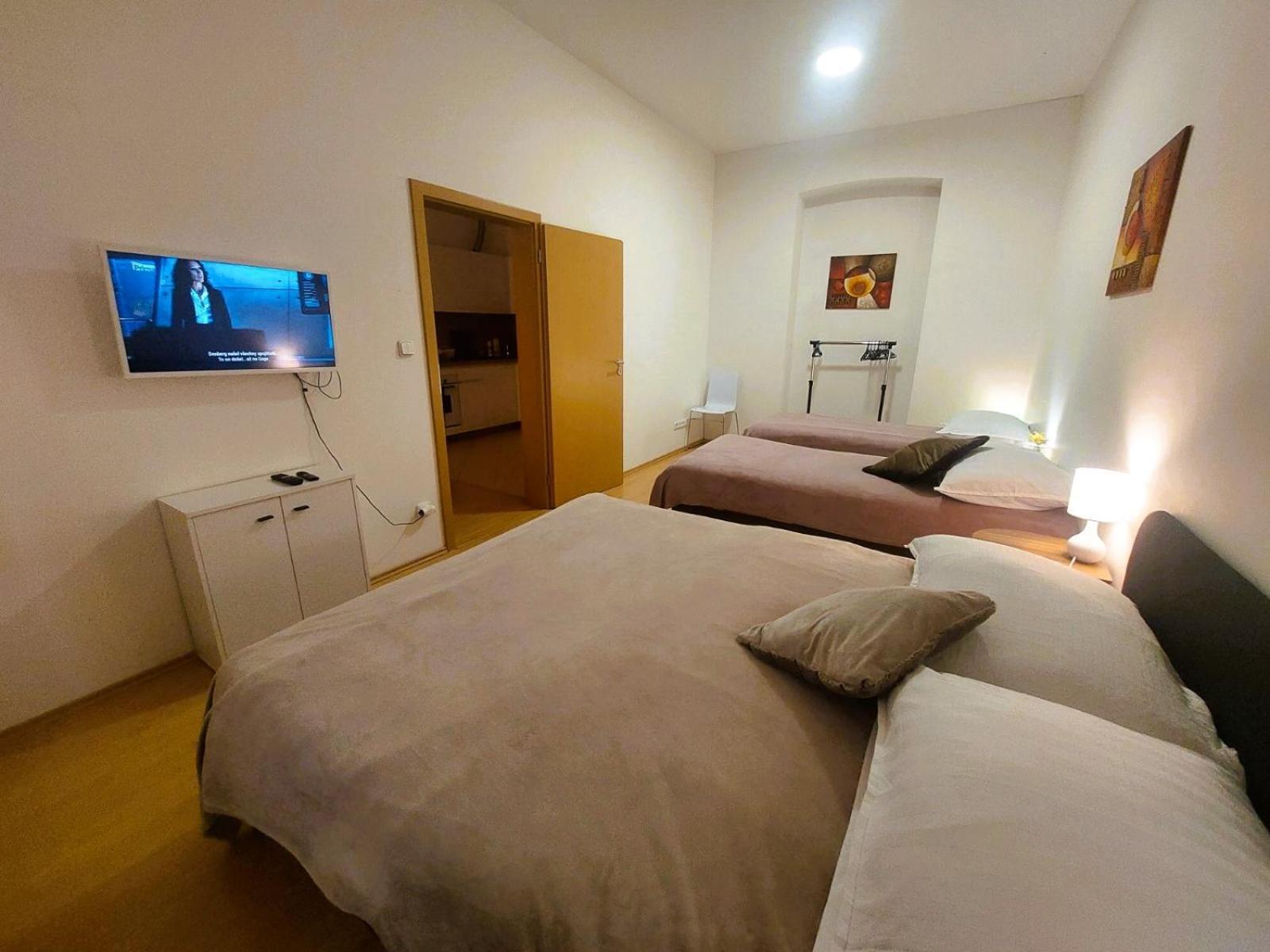 Prostorny Byt V Centru 3 Kk 80 M2 Hradec Králové Exteriör bild